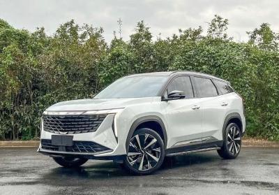 Geely Starray 2024 Premium