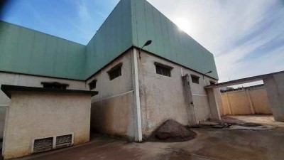 Rent Hangar - Factory Alger Les eucalyptus