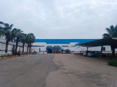 Rent Hangar Algiers Reghaia