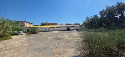 Vente Hangar Alger Birtouta