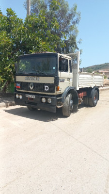 camion-renault-g290-1987-bejaia-algerie