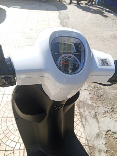 motos-et-scooters-bennelli-panarea-2023-annaba-algerie