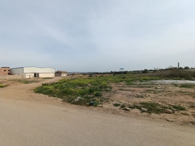 كراء أرض وهران مسرغين