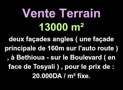 Sell Land Oran Bethioua