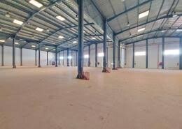 كراء مستودع - مصنع وهران سيدي الشحمي