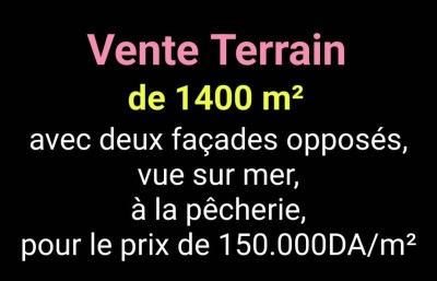 بيع أرض وهران وهران