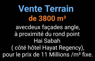 Sell Land Oran Bir el djir