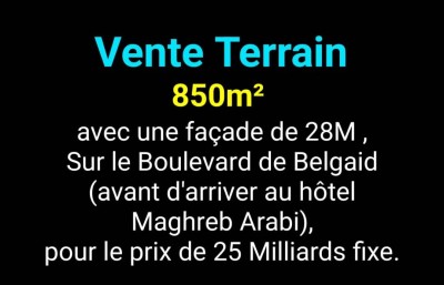 بيع أرض وهران بئر الجير