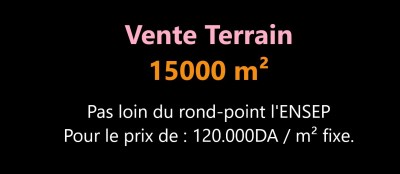 بيع أرض وهران وهران
