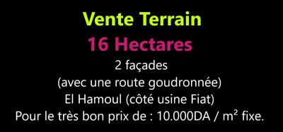 بيع أرض وهران الكرمة