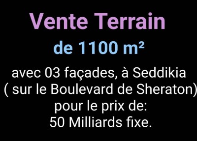 بيع أرض وهران وهران