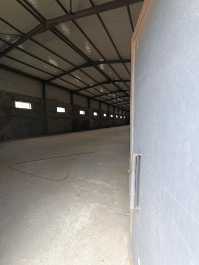 Rent Hangar Oran Tafraoui