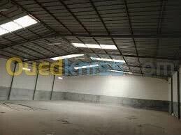 Rent Hangar Oran Es senia