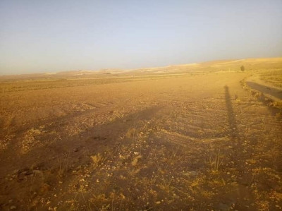 terrain-agricole-vente-laghouat-algerie