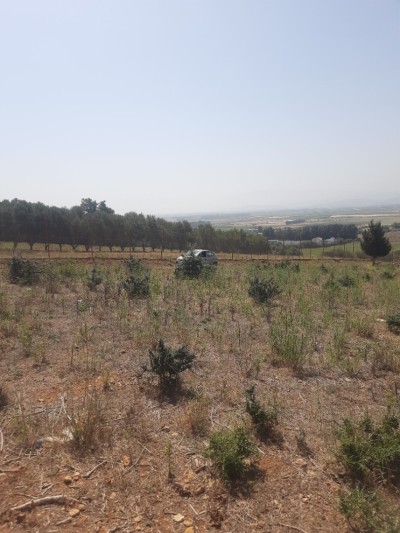 بيع أرض تيبازة سيدي راشد