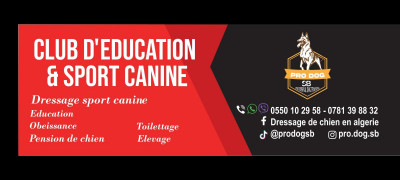 dog-centre-professionnel-dressage-de-chien-مركز-محترف-في-تدريب-الكلاب-hraoua-alger-algeria
