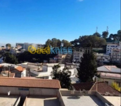 Rent Apartment F3 Alger El biar