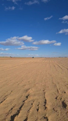 terrain-agricole-location-djelfa-birine-algerie