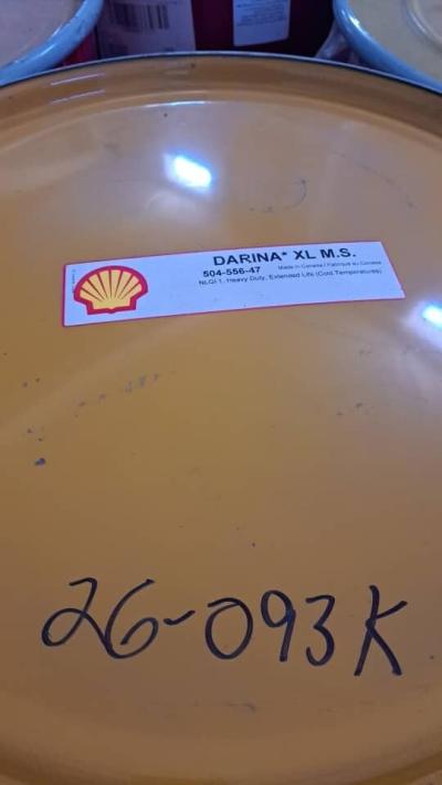 SHELL- Coquille Darina XL