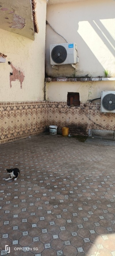 Location Villa Alger Dely brahim