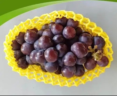 Fruits fragiles ? Le filet en mousse polyéthylènebabsorbe les chocs en un clin d'œil !