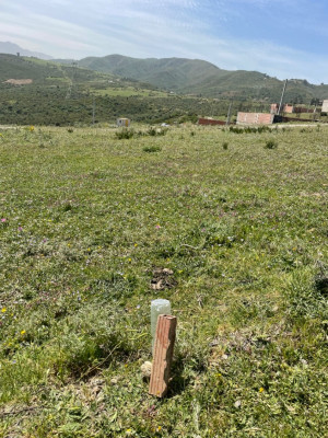 terrain-vente-boumerdes-corso-algerie