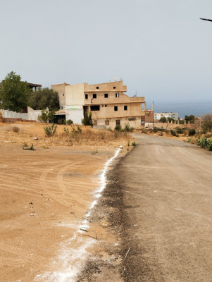 terrain-vente-tipaza-fouka-algerie