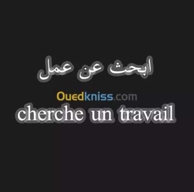 إدارة-و-تسيير-ادارية-مسيرة-موارد-بشرية-مساعدة-مسير-او-سكرتيرة-البليدة-الجزائر