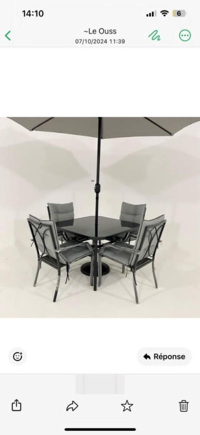 Table de jardin luxueuse avec parasol 