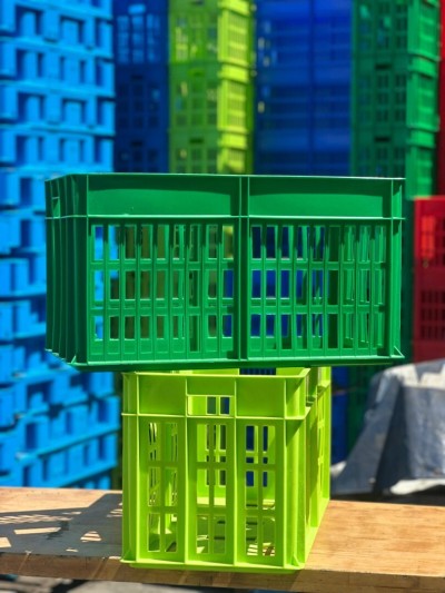 Caisse porte alvéole alimentaire