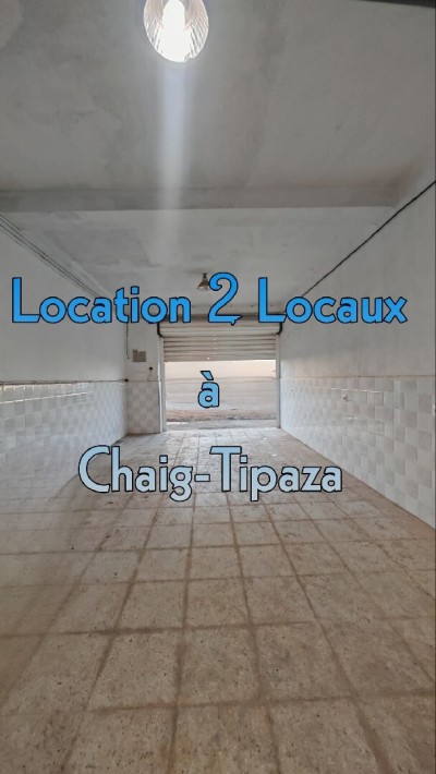 Rent Commercial Tipaza Kolea