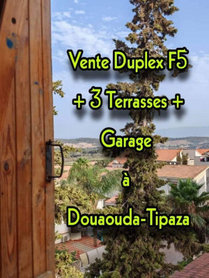 duplex-vente-f5-tipaza-douaouda-algerie