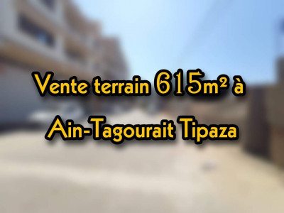 Vente Terrain Tipaza Ain tagourait