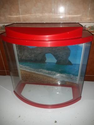 أكسسوارات-للحيوانات-aquarium-complet-avec-6-poissons-rouges-الجزائر-وسط
