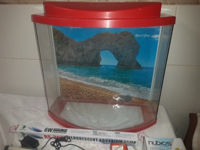 accessoire-pour-animaux-aquarium-facade-bombee-40-litres-alger-centre-algerie