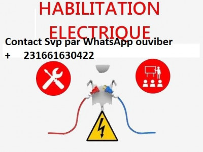 schools-training-attestation-de-qualification-habilitation-electrique-es-senia-oran-algeria