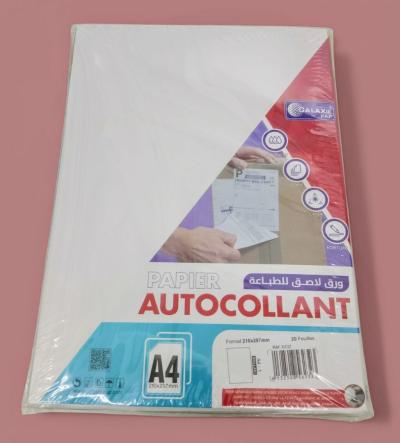 Autocollante Brillant Blanc A4 (20F)