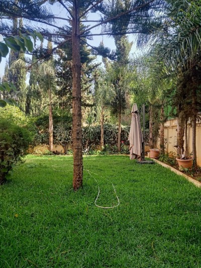 Vente Villa Alger Dely brahim