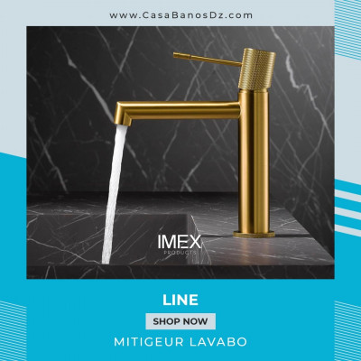 Mitigeur Lavabo LINE Or Brossé IMEX