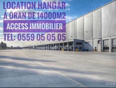 Location Hangar Oran Oran