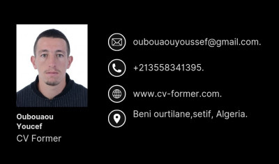 informatique-internet-creation-des-careculim-veta-et-de-lettre-motivation-beni-ouartilene-setif-algerie