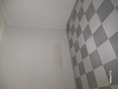 appartement-location-f2-alger-reghaia-algerie