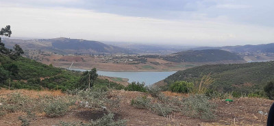 land-sell-boumerdes-el-kharrouba-algeria