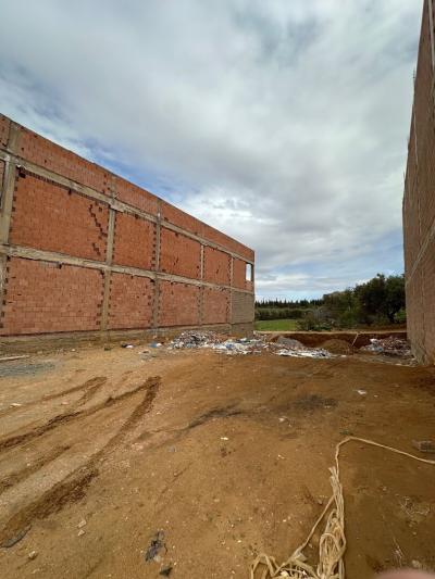 Vente Terrain Tlemcen Mansourah
