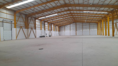 Sell Hangar Blida Boufarik