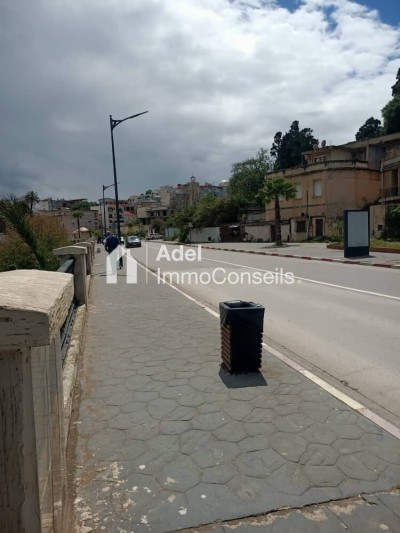 بيع أرض عنابة عنابة