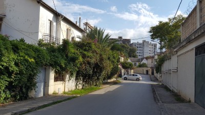 Location Local Annaba Annaba