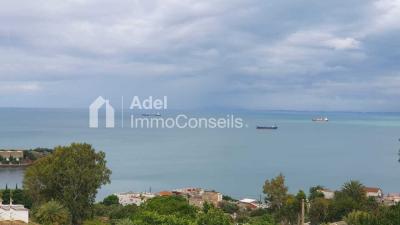 Vente Terrain Annaba Annaba