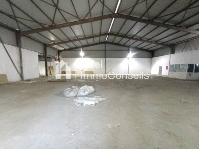 Location Hangar - Usine Annaba El hadjar