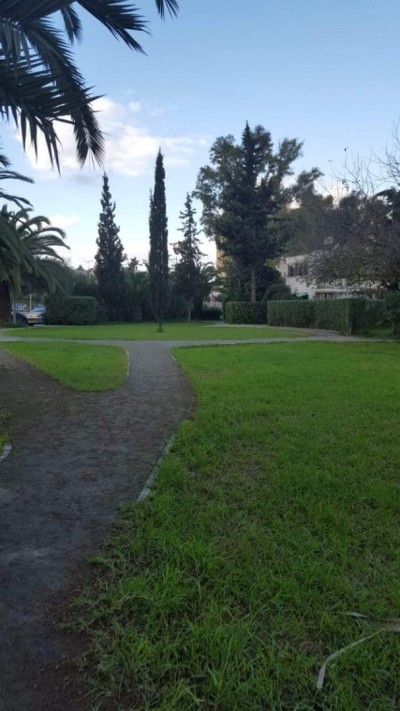 Vente Terrain Alger Birkhadem